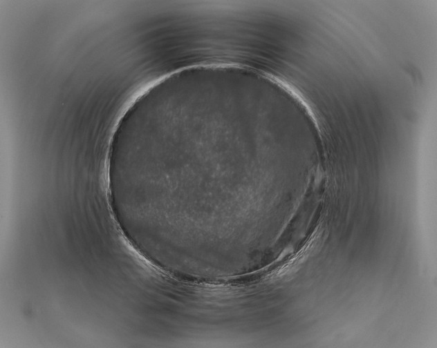 X0000111840935200908061251