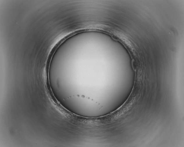 X0000111840936200908061251