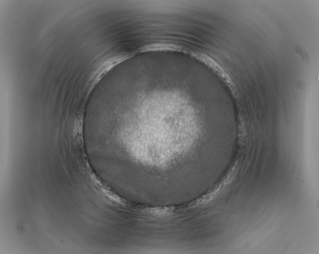 X0000111840937200908061251