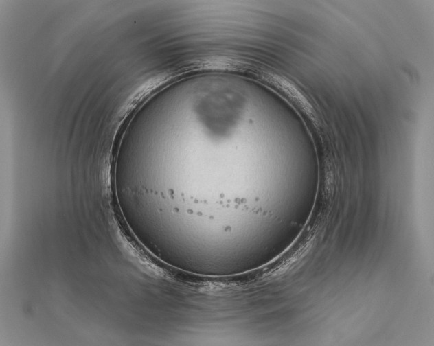 X0000111840938200908061251