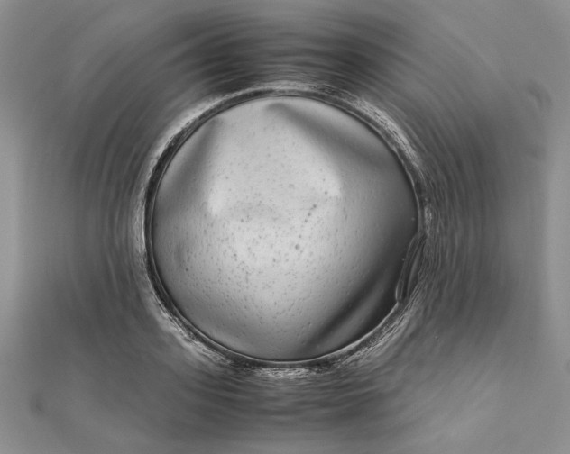 X0000111840939200908061251