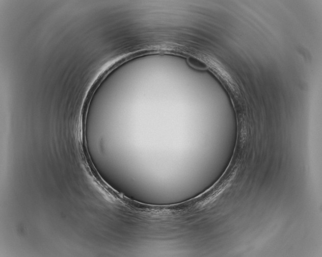 X0000111840940200908061251