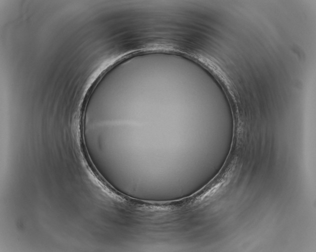 X0000111840941200908061251