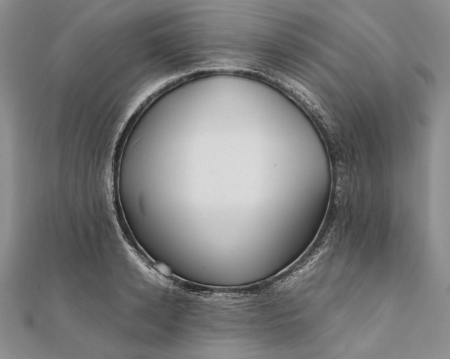 X0000111840942200908061251