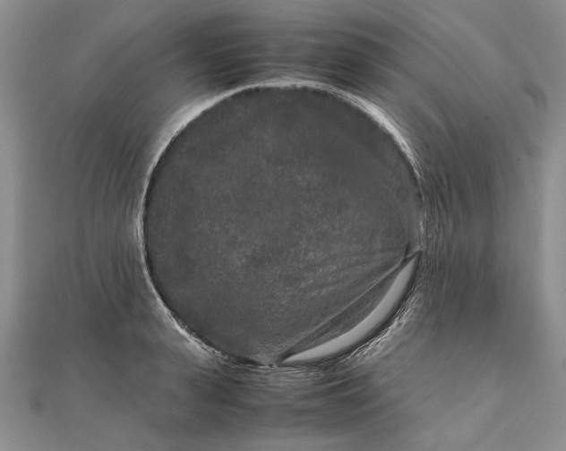 X0000111840943200908061251