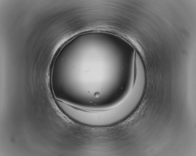 X0000111840944200908061251