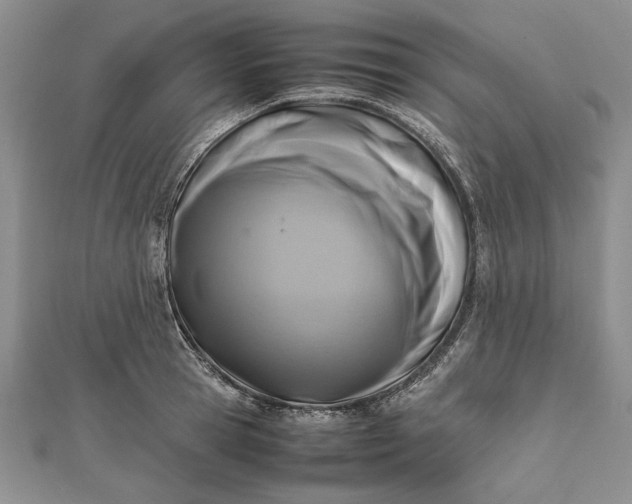 X0000111840945200908061251