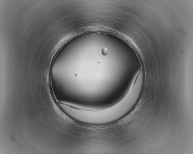 X0000111840946200908061251