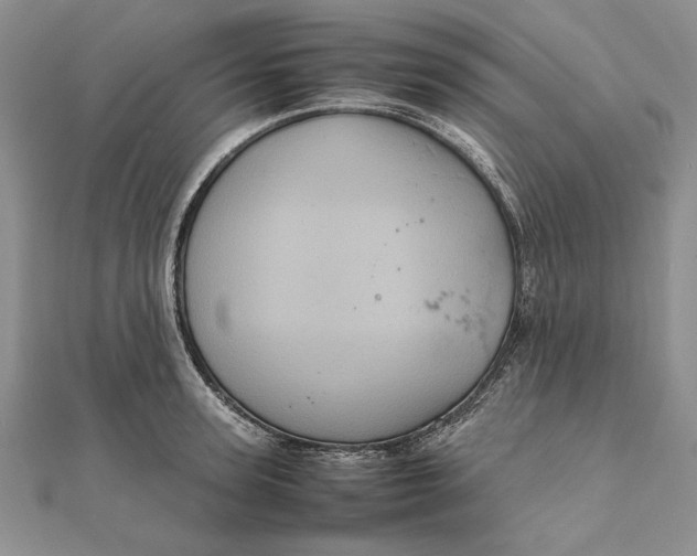 X0000111840947200908061251