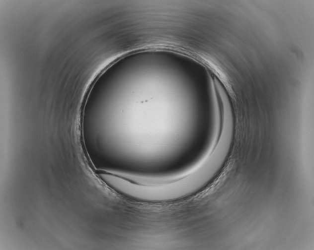 X0000111840948200908061251