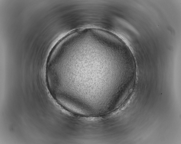 X0000111840949200908061251