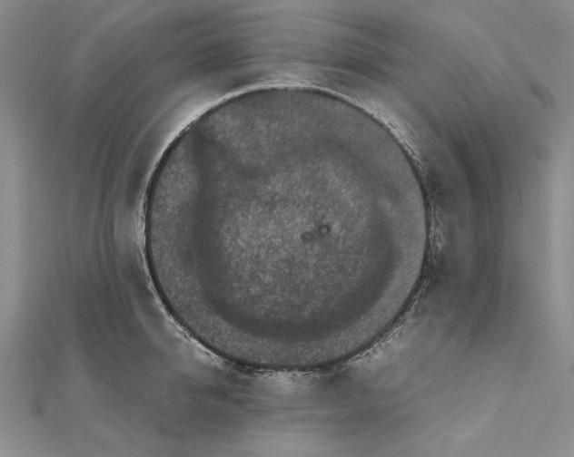 X0000111840950200908061251