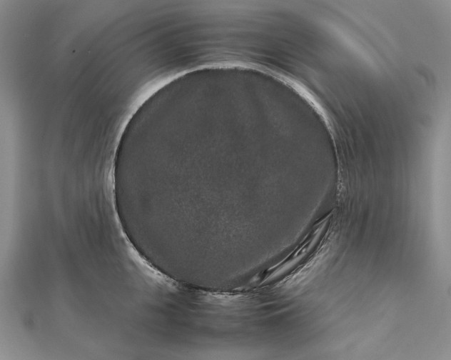 X0000111840951200908061251