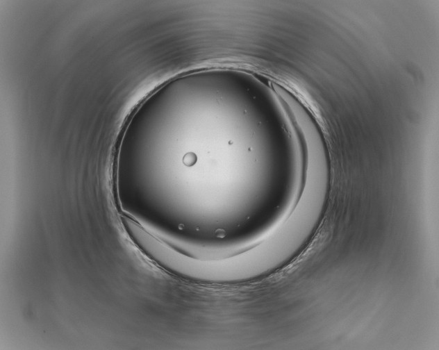 X0000111840952200908061251