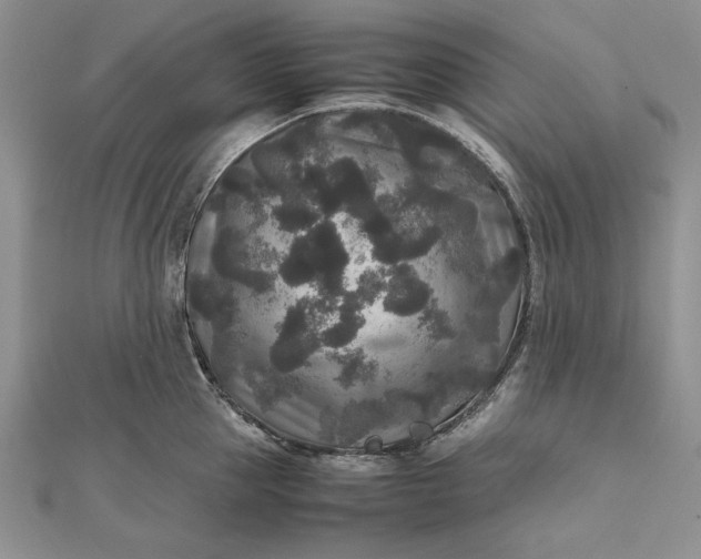 X0000111840953200908061251