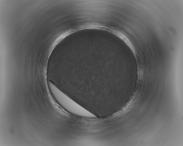 X0000111840954200908061251