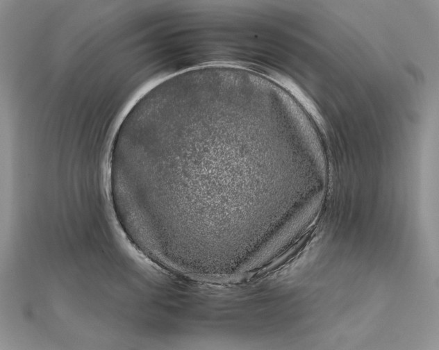 X0000111840955200908061251