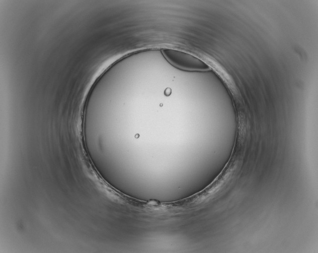 X0000111840956200908061251