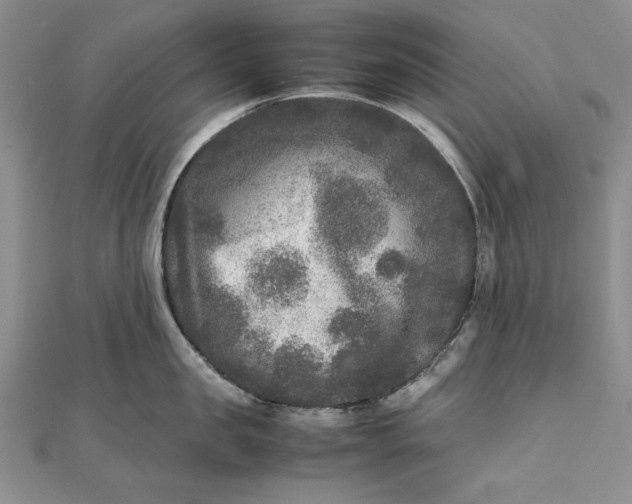 X0000111840957200908061251