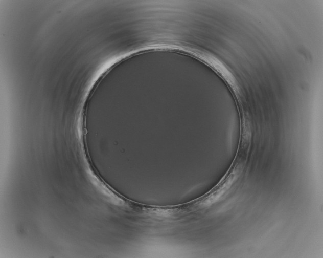 X0000111840958200908061251