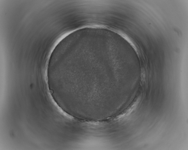 X0000111840959200908061251