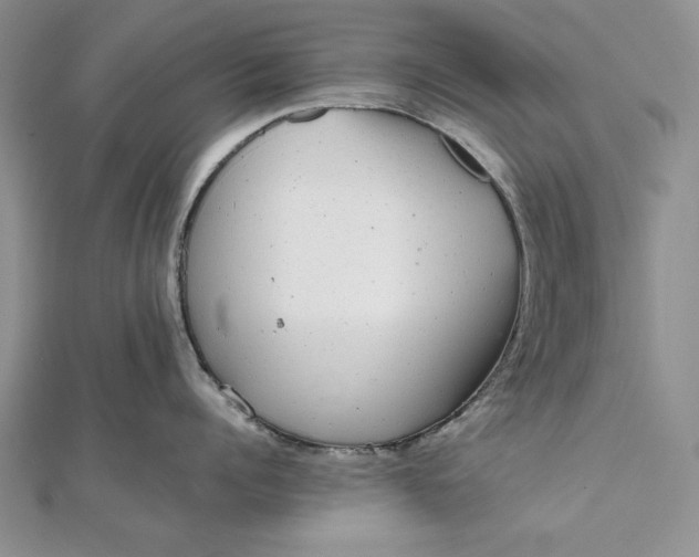 X0000111840960200908061251