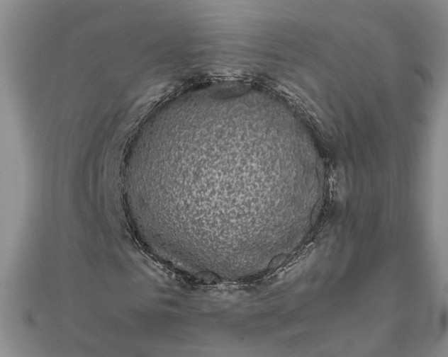 X0000111840961200908061250