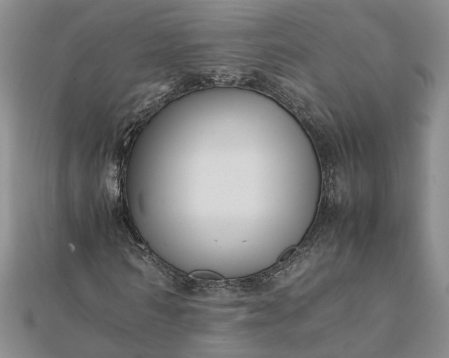 X0000111840962200908061250