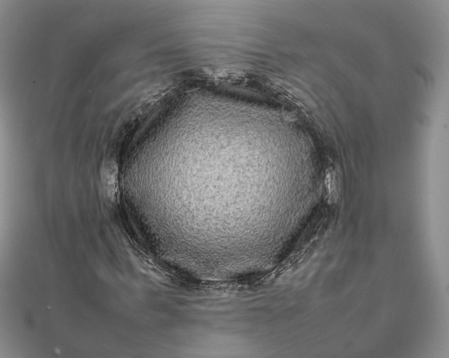 X0000111840963200908061250