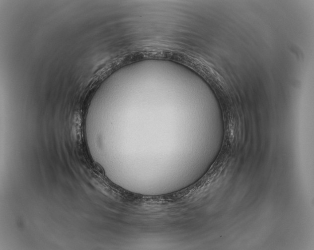 X0000111840964200908061250