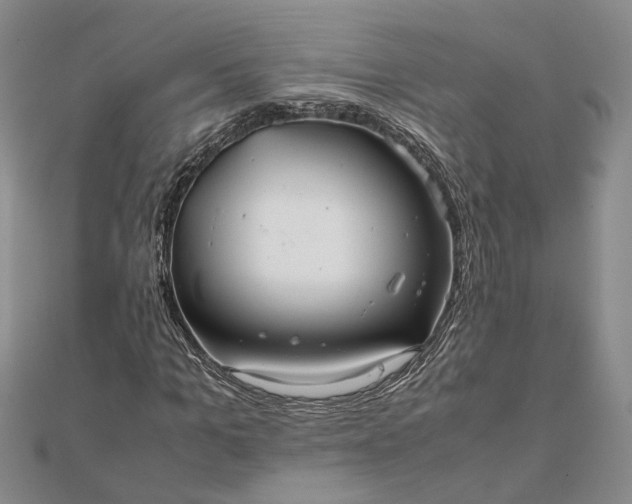 X0000111840965200908061250