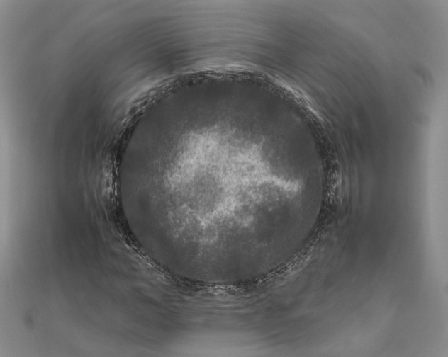 X0000111840966200908061250