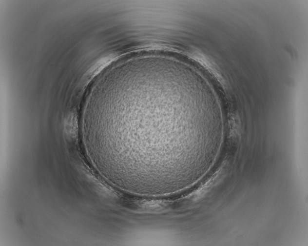 X0000111840969200908061250