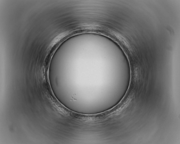 X0000111840970200908061250