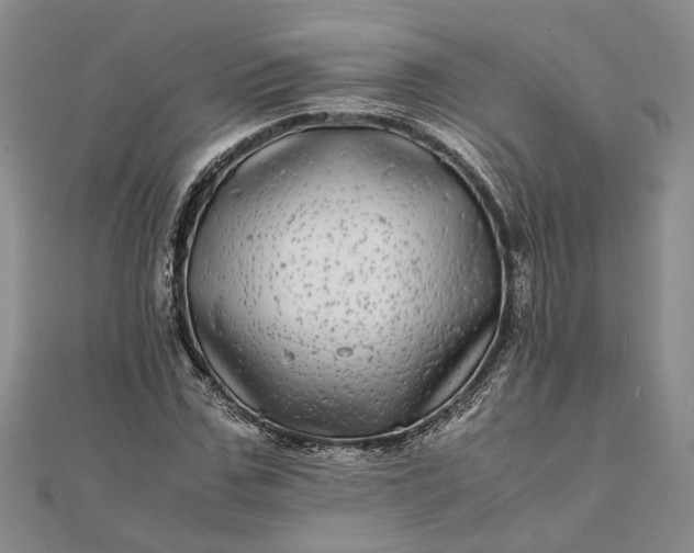 X0000111840971200908061250