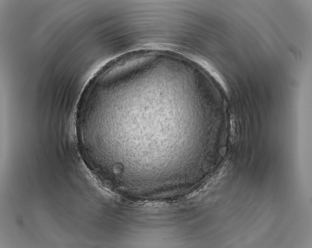 X0000111840972200908061250