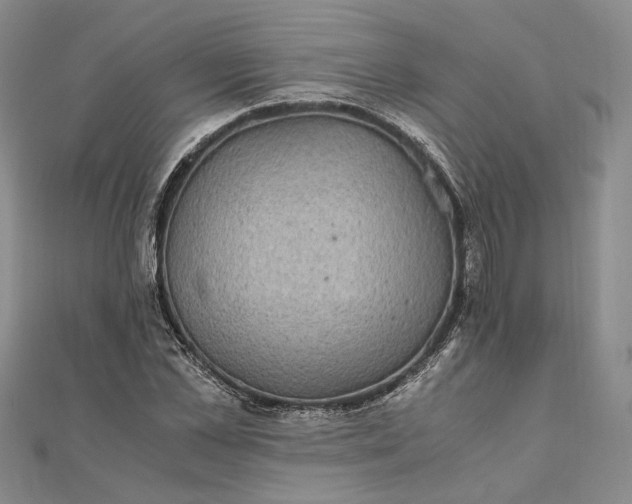 X0000111840973200908061250