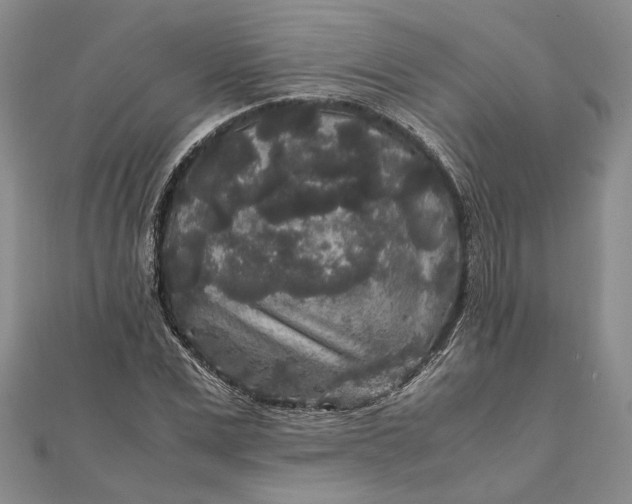 X0000111840975200908061250