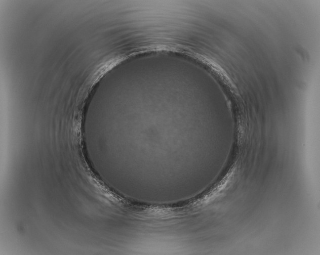 X0000111840977200908061250