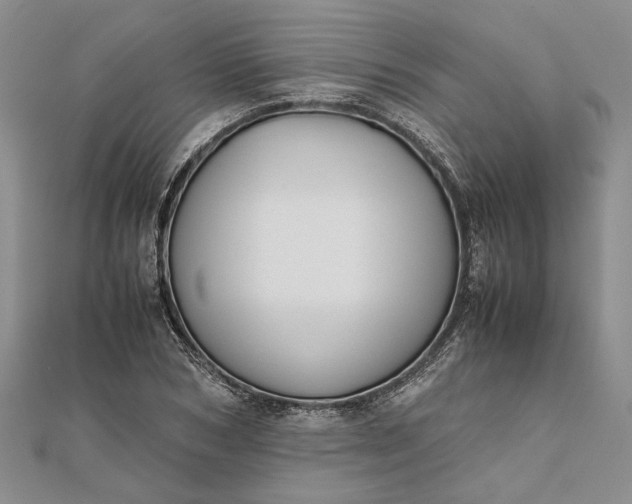 X0000111840978200908061250