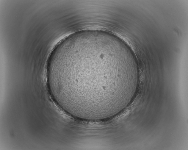 X0000111840979200908061250