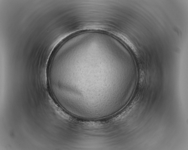 X0000111840980200908061250