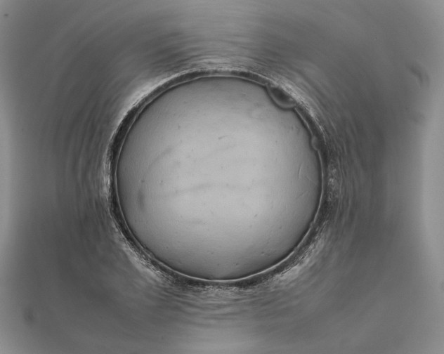 X0000111840981200908061250