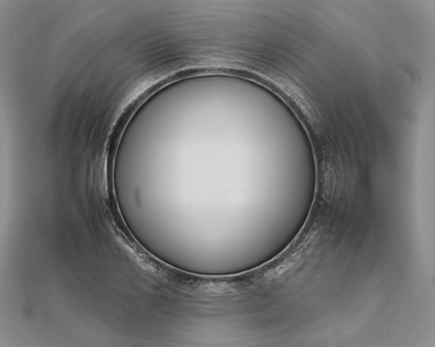 X0000111840982200908061250