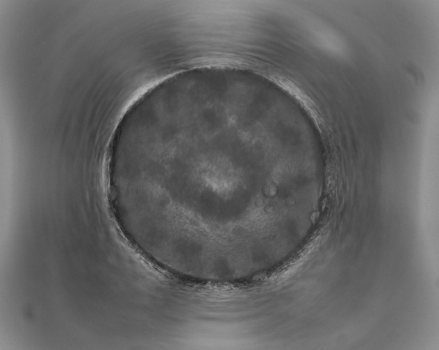 X0000111840983200908061250