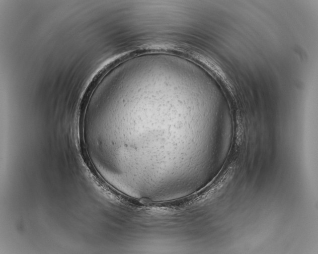 X0000111840984200908061250