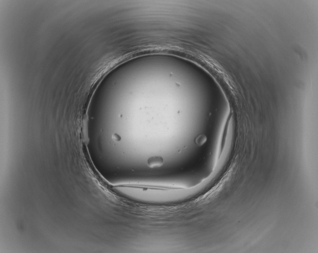 X0000111840985200908061250