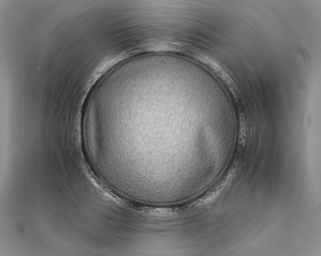 X0000111840986200908061250