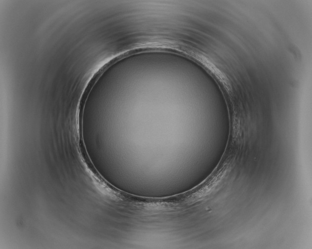 X0000111840988200908061250