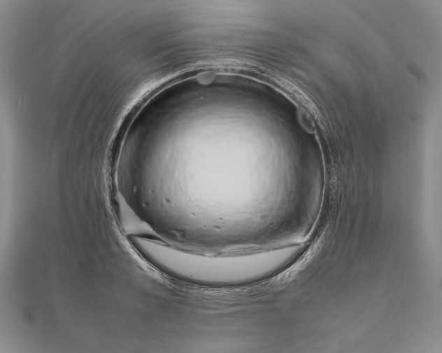 X0000111840989200908061250